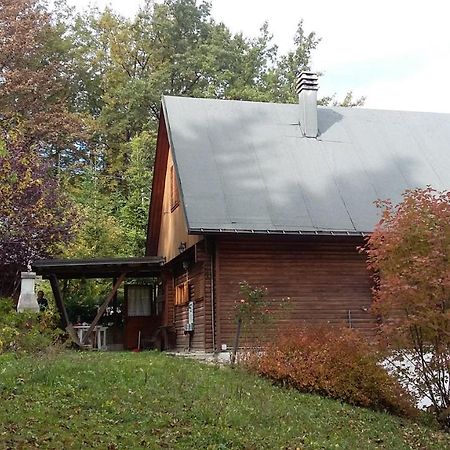 Lama Mocogno Uno Chalet Nel Boscoヴィラ エクステリア 写真