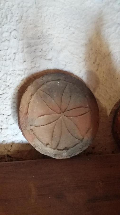 Lama Mocogno Uno Chalet Nel Boscoヴィラ エクステリア 写真