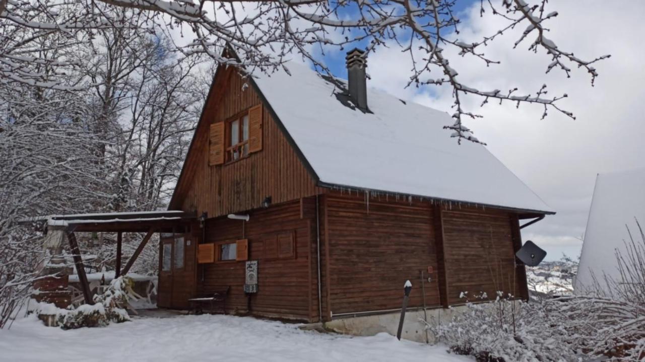 Lama Mocogno Uno Chalet Nel Boscoヴィラ エクステリア 写真
